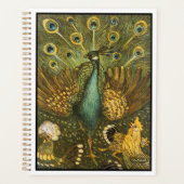 Planer (Vorderseite)