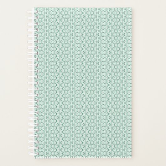 Planer (Vorderseite)