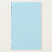 Planer (Vorderseite)