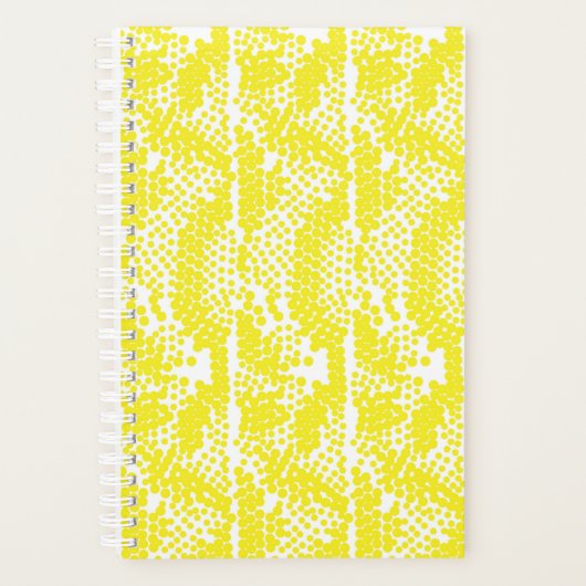 Planer (Vorderseite)