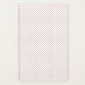 Planer (Vorderseite)