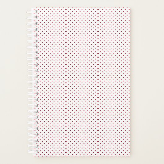 Planer (Vorderseite)