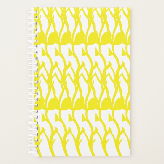 Planer (Vorderseite)