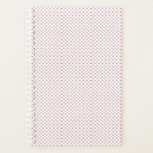 Planer (Vorderseite)