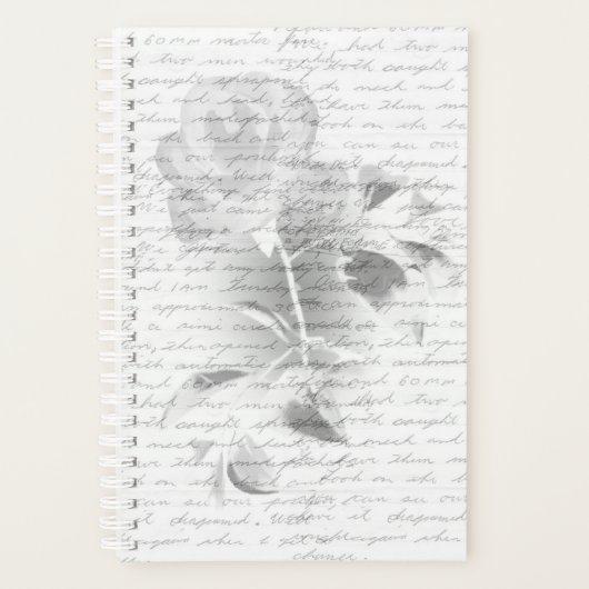 Planer (Vorderseite)