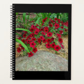 Planer (Vorderseite)