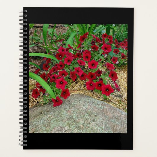 Planer (Vorderseite)