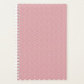 Planer (Vorderseite)