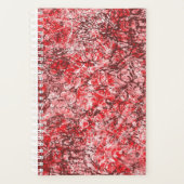 Planer (Vorderseite)