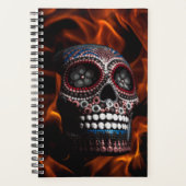 Planer (Vorderseite)