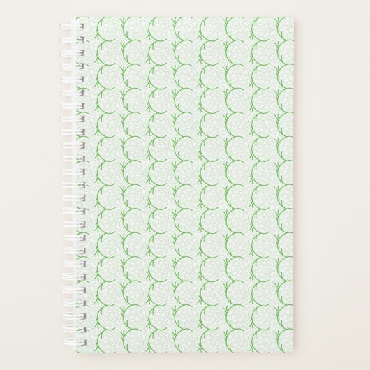 Planer (Vorderseite)