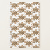 Planer (Vorderseite)