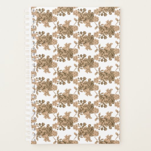 Planer (Vorderseite)