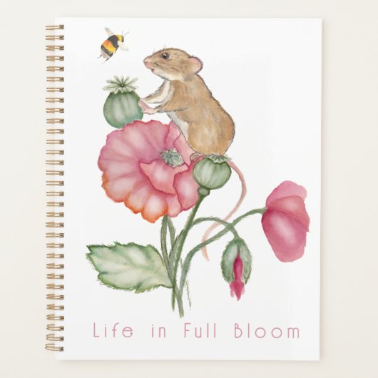 Planer (Vorderseite)