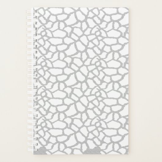 Planer (Vorderseite)