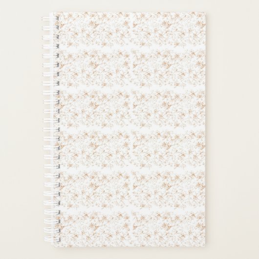 Planer (Vorderseite)