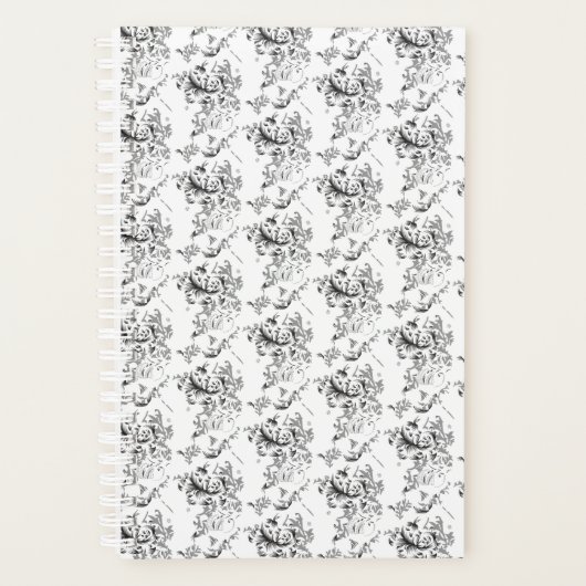 Planer (Vorderseite)