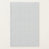 Planer (Vorderseite)