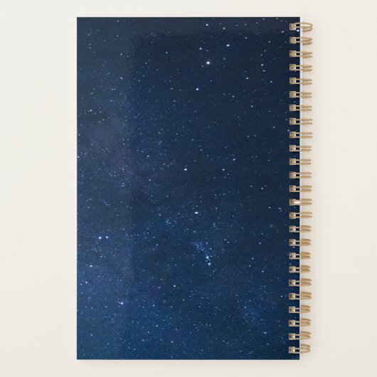 Planer - Astrologie - Äschen (Rückseite)