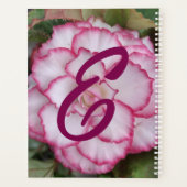Planer, Begonia Blume Foto Planer (Rückseite)