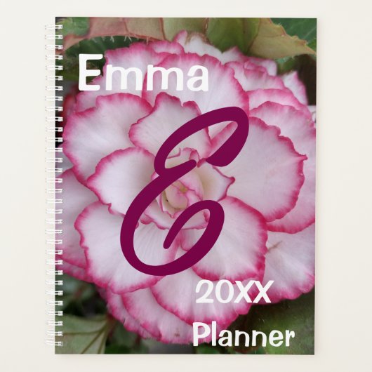 Planer, Begonia Blume Foto Planer (Vorderseite)