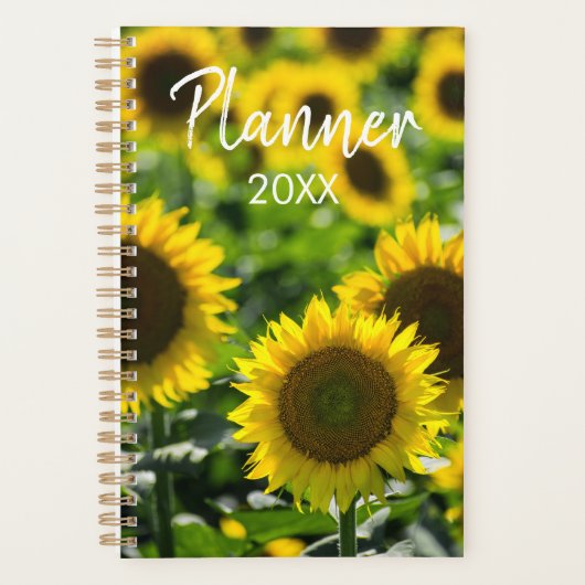 Planer - Das Sonnenblumenfeld (Vorderseite)