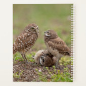 Planer für Burrowing Owls 2024 (Rückseite)