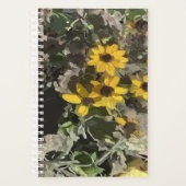 Planer-Gelbe Wüste-Blume Planer (Vorderseite)