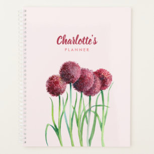 Planer Lila rosa Allium Blume Wasserfarbe