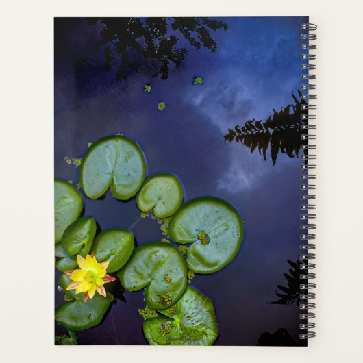 Planer "Midnight Lily" (Rückseite)