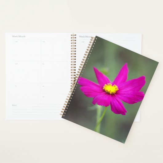 Planer mit rosa Blumen (Anzeige)