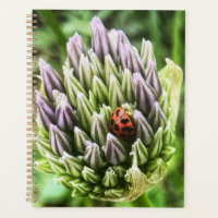 Planer mit schöner Blume auf der Abdeckung