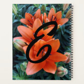 Planer, Orangefarbene Lily-Blume Planer (Rückseite)