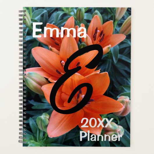Planer, Orangefarbene Lily-Blume Planer (Vorderseite)