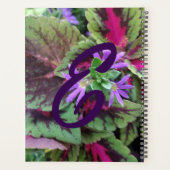 Planer, Pflanze und Blume im Herbst Planer (Rückseite)
