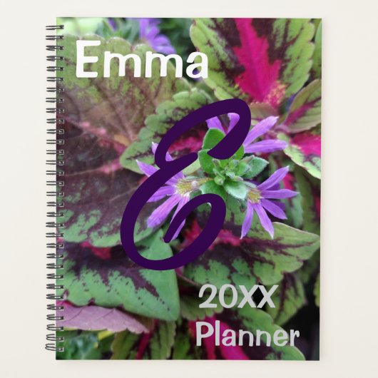Planer, Pflanze und Blume im Herbst Planer (Vorderseite)