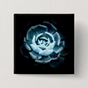 Planet Echeveria 2 Knopf Button