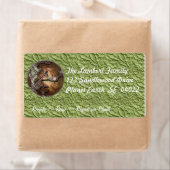 Planet Erde (Insitu)