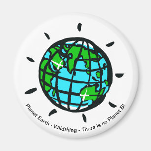 Planet Erde - Magnet
