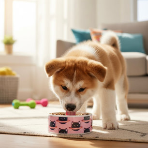 Planet Katzen-Schüssel Napf