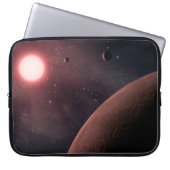 Planetales Notebook-Sieb Laptopschutzhülle (Vorderseite)