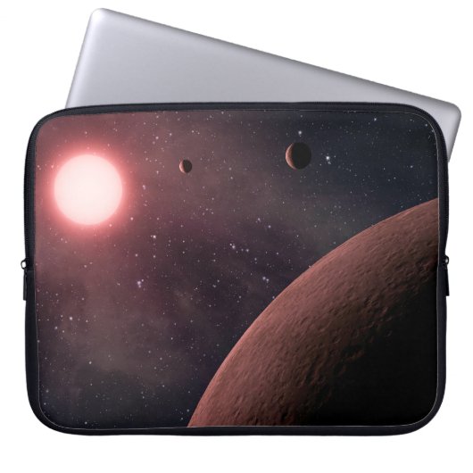 Planetales Notebook-Sieb Laptopschutzhülle (Vorderseite)