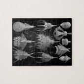 Plankton-Muscheln in Schwarzweiss (Cyrtoidea) Puzzle (Horizontal)