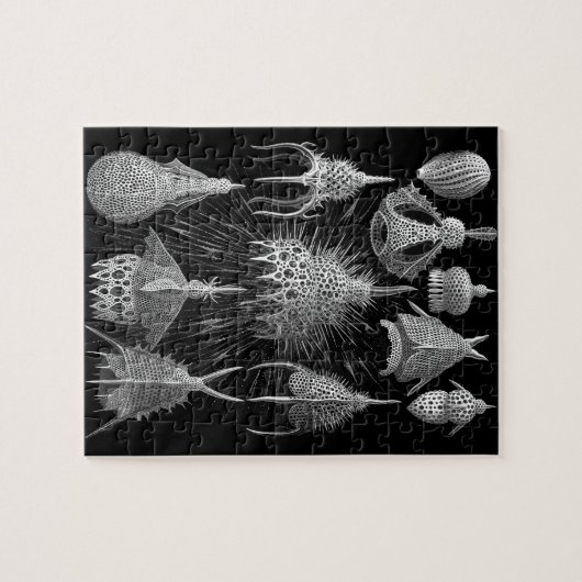 Plankton-Muscheln in Schwarzweiss (Cyrtoidea) Puzzle (Horizontal)