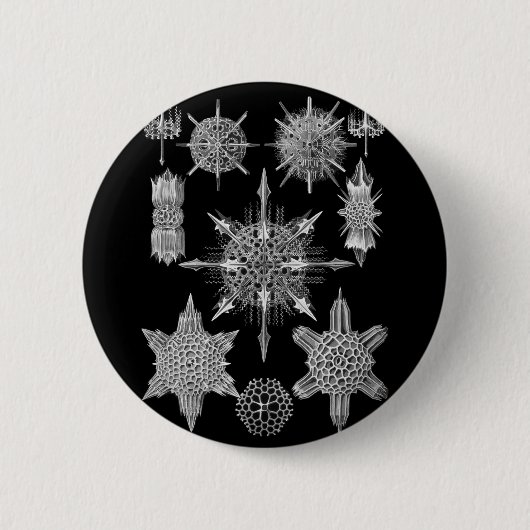Plankton-Skelette in Schwarzweiss Button (Vorderseite)