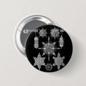 Plankton-Skelette in Schwarzweiss Button (Vorne & Hinten)