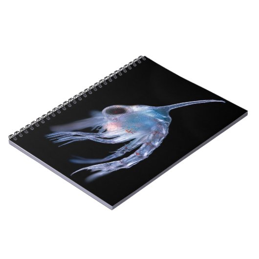 Planktonic Krebs Notizblock (Linke Seite)