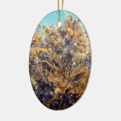 Planktonsuppe und Kelp Keramikornament (Links)