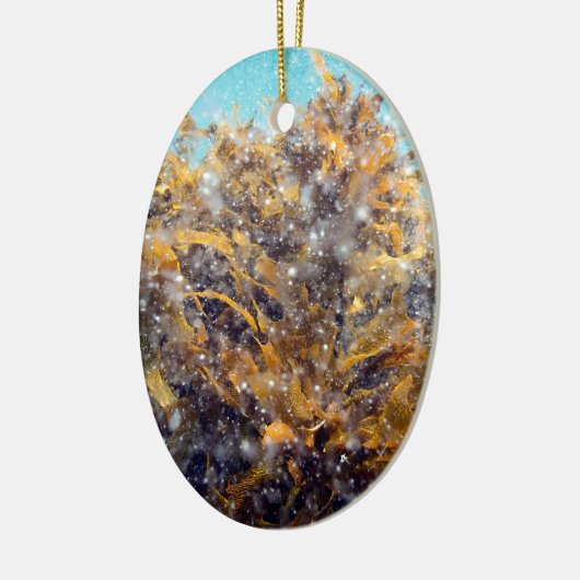 Planktonsuppe und Kelp Keramikornament (Links)