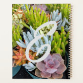 Planner, farbenfrohe, schokulare Pflanze Planer (Rückseite)